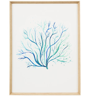 SEAPLANT_STUDY_BLUE_2_DEEP_ETCHED