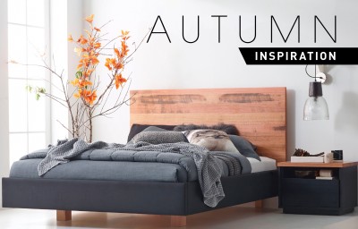 Domayne Furniture:  Fall in Love with Autumn