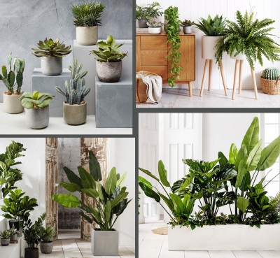 Here’s Why You Should Fill Your Home With Gorgeous Greenery From Domayne